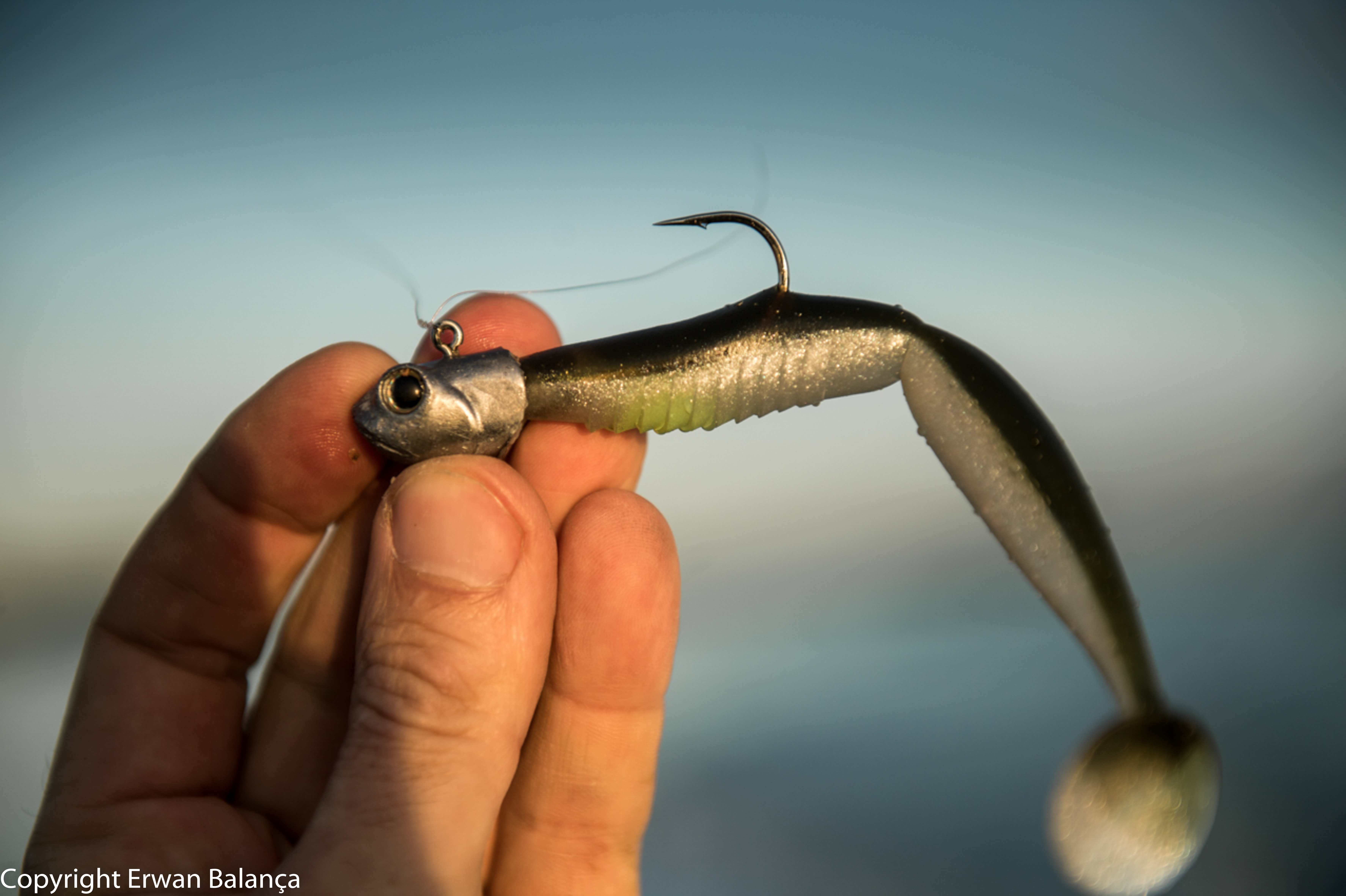 Le Super Spindle Worm – Pierre-Yves PERRODO Ultimate Fishing