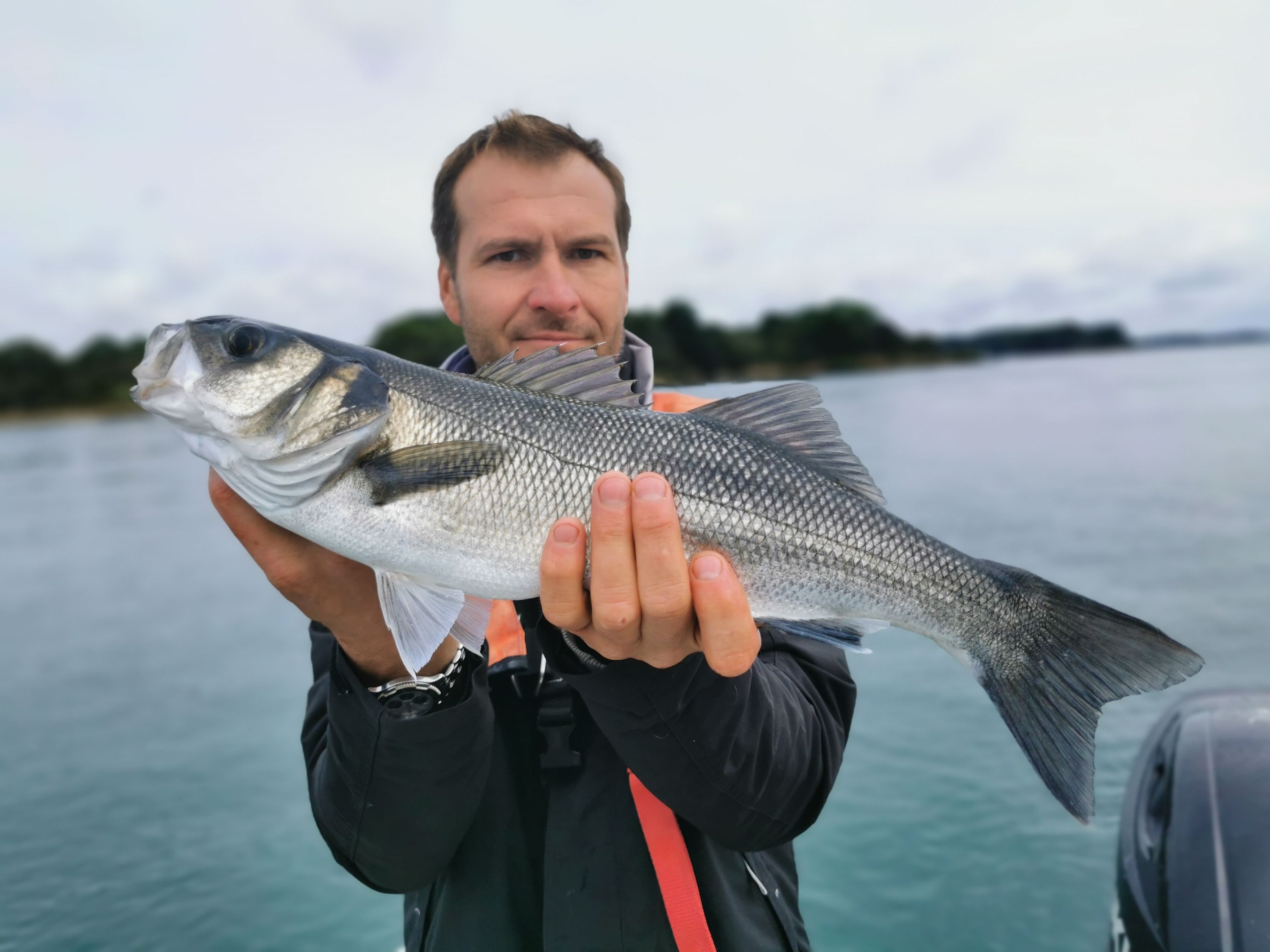 Pierre-Yves Perrodo guide de pêche golfe du morbihan, pêche au bar et dorade