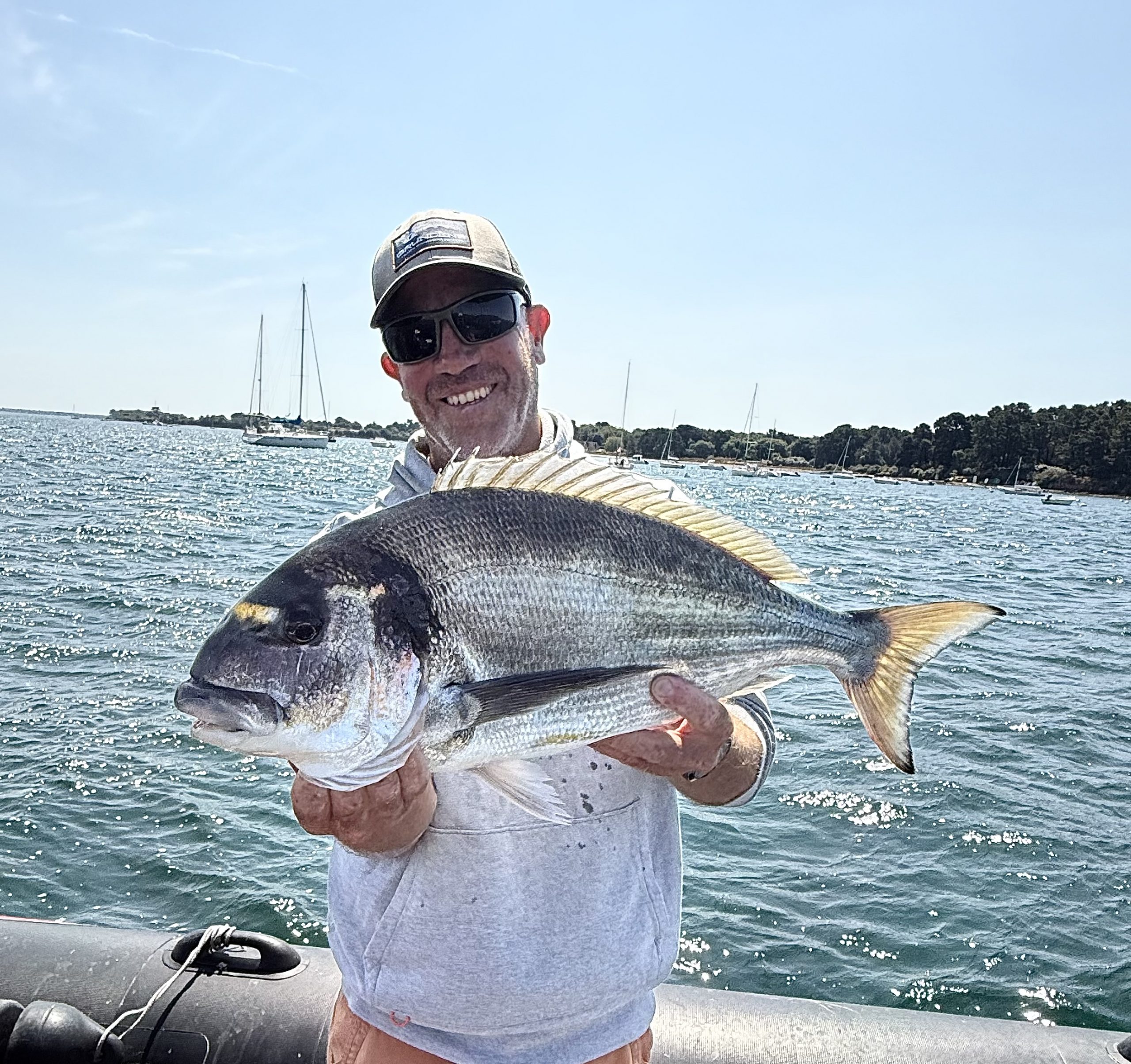 Dorade royale du Golfe du Morbihan