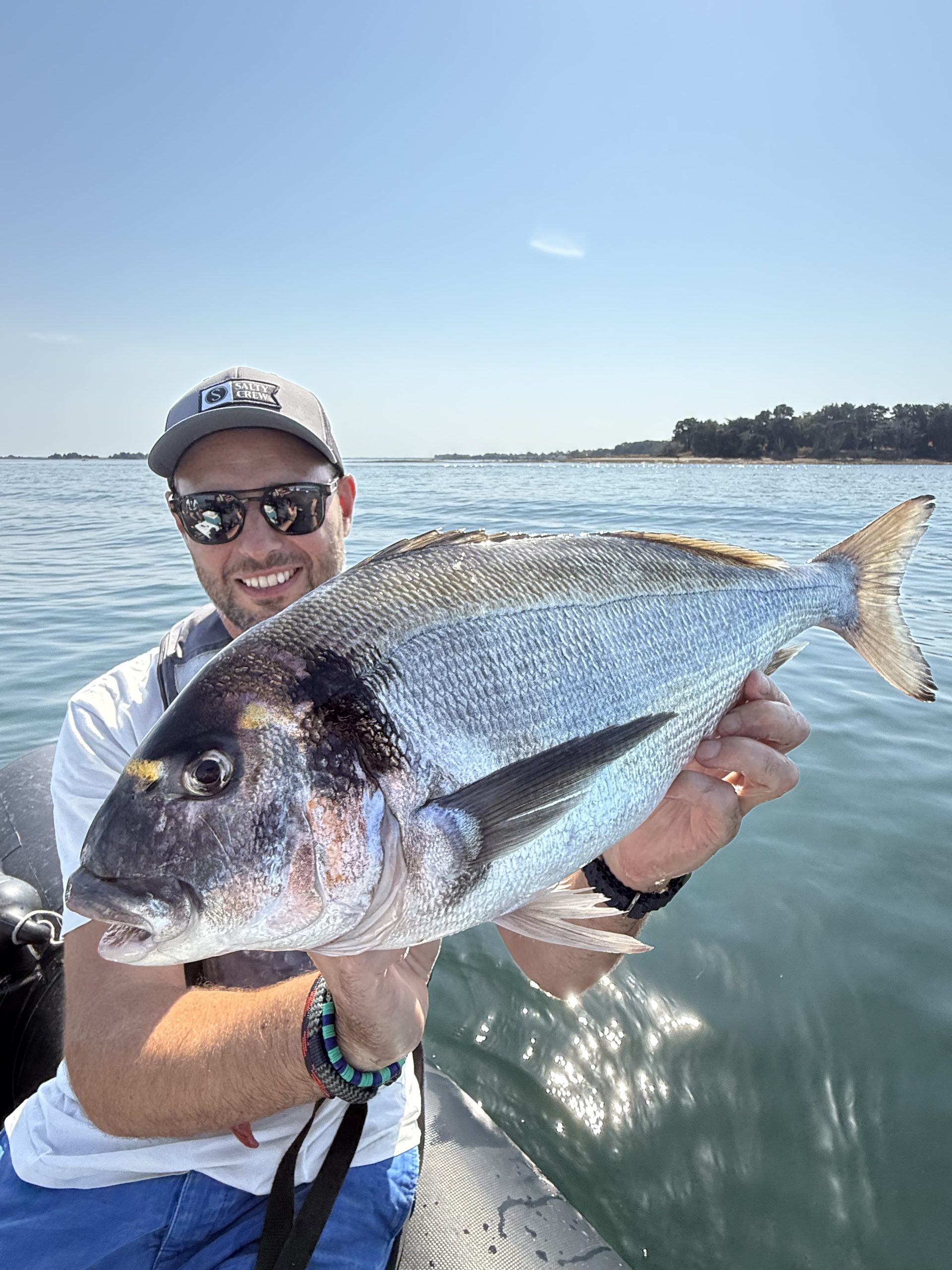 Dorade royale pêchée dans le golfe du morbihan