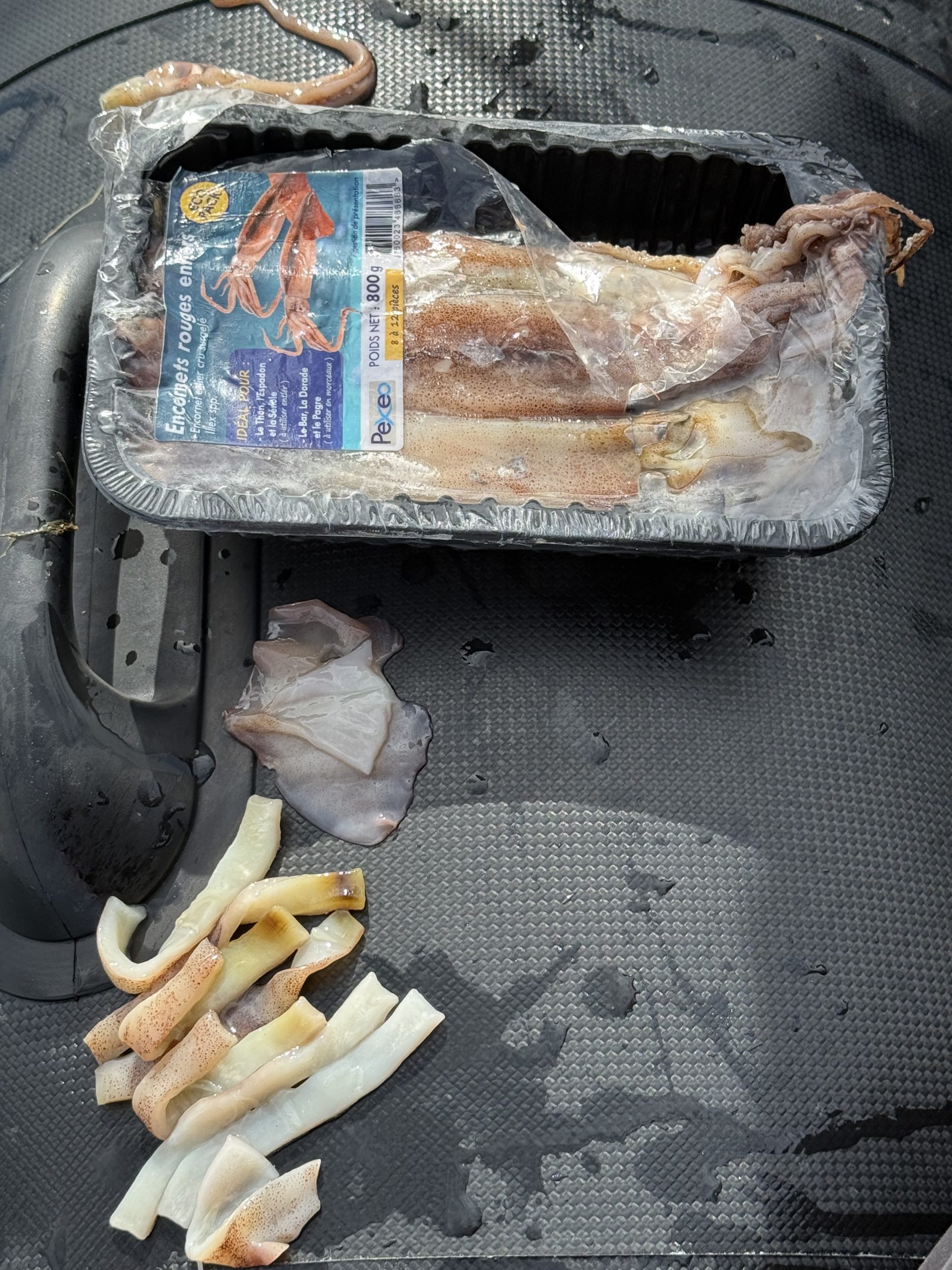 Appât : lamelles de calamars
