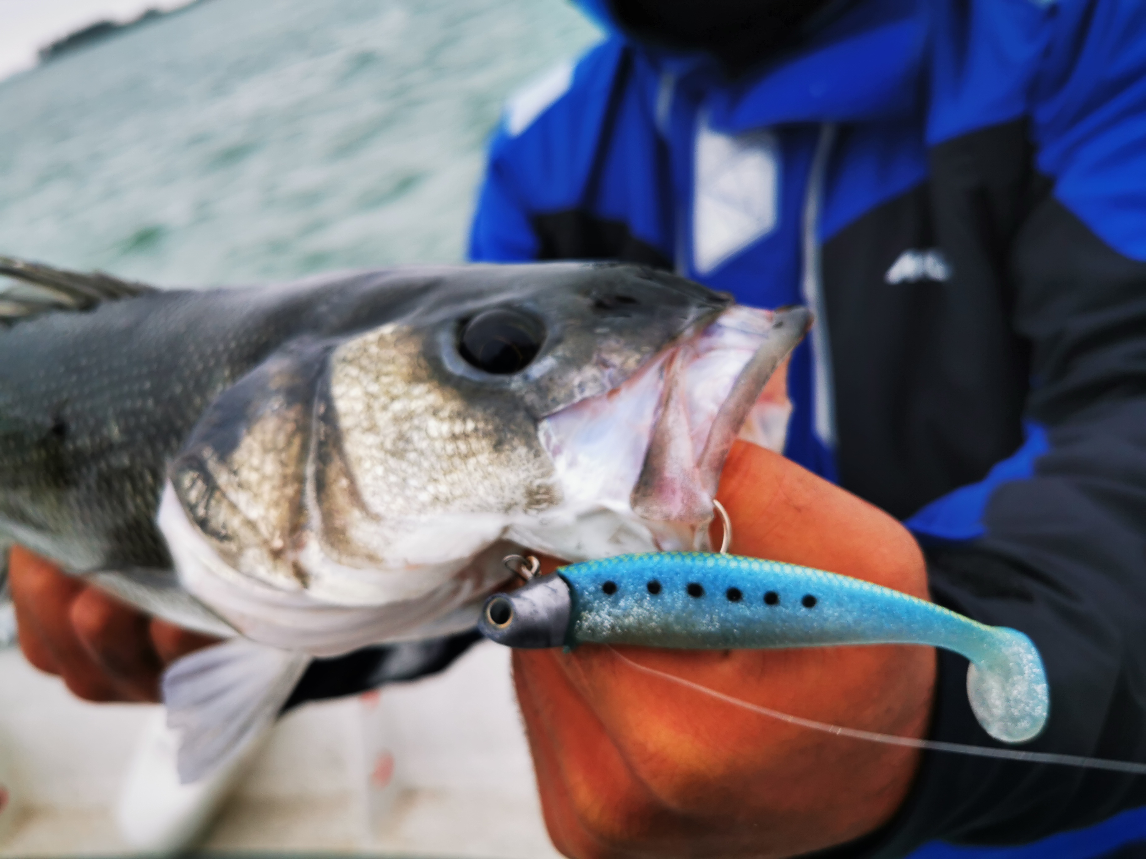 Une fin de saison dans le Golfe du Morbihan – Pierre-Yves Perrodo Ultimate Fishing